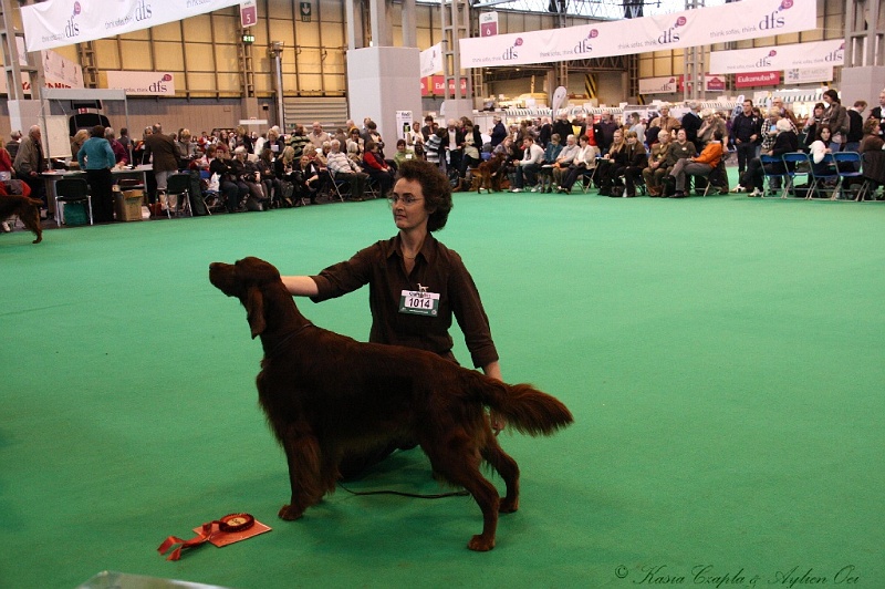 Crufts2011_2 120.jpg